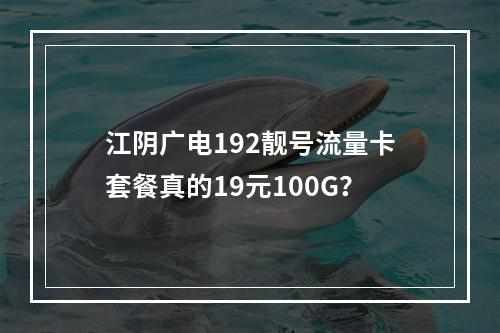 江阴广电192靓号流量卡套餐真的19元100G？