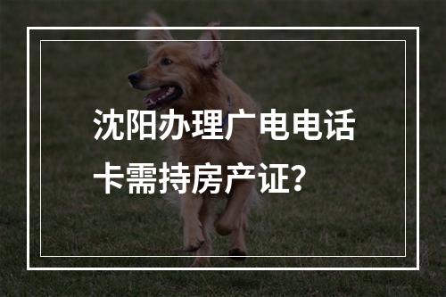 沈阳办理广电电话卡需持房产证？