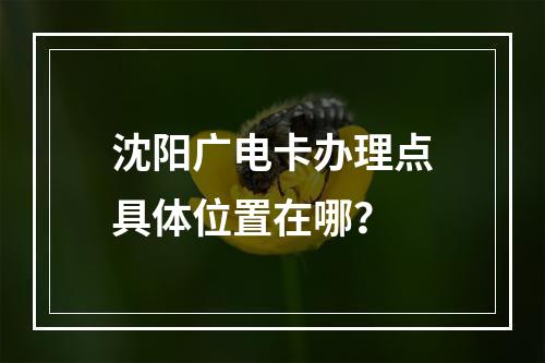 沈阳广电卡办理点具体位置在哪？