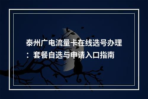泰州广电流量卡在线选号办理：套餐自选与申请入口指南
