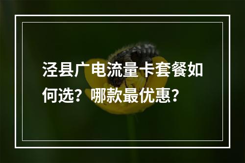 泾县广电流量卡套餐如何选？哪款最优惠？