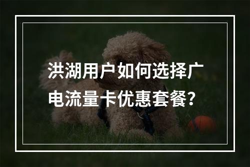 洪湖用户如何选择广电流量卡优惠套餐？