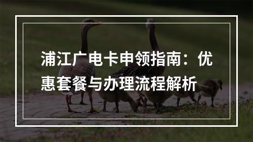 浦江广电卡申领指南：优惠套餐与办理流程解析