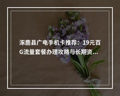 涿鹿县广电手机卡推荐：19元百G流量套餐办理攻略与长期资费解析