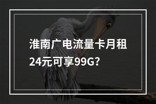 淮南广电流量卡月租24元可享99G？