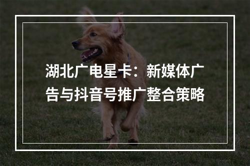 湖北广电星卡：新媒体广告与抖音号推广整合策略