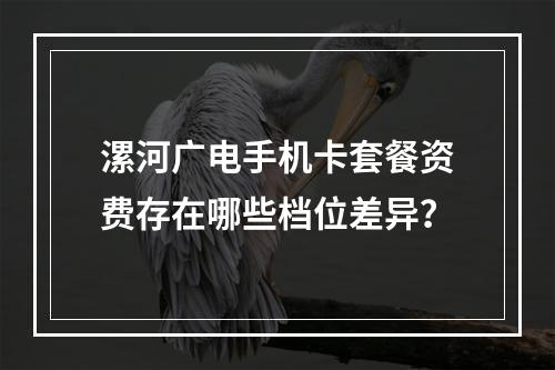 漯河广电手机卡套餐资费存在哪些档位差异？