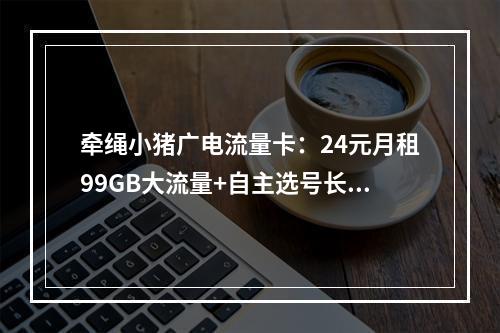牵绳小猪广电流量卡：24元月租99GB大流量+自主选号长期套餐