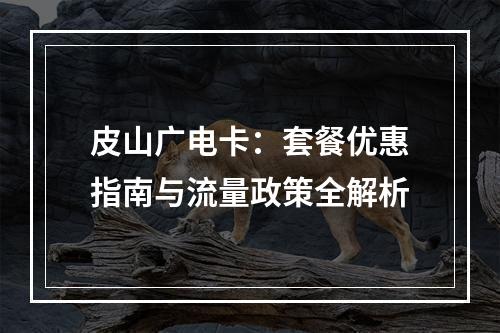 皮山广电卡：套餐优惠指南与流量政策全解析