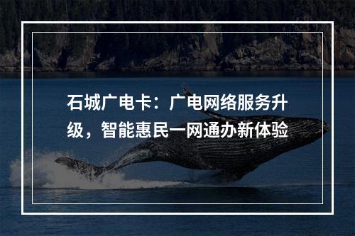 石城广电卡：广电网络服务升级，智能惠民一网通办新体验