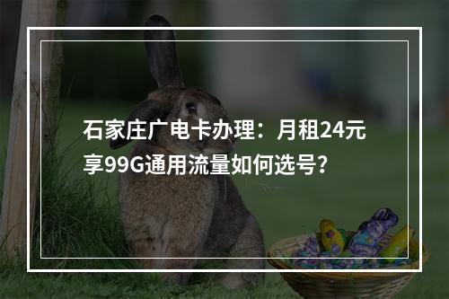 石家庄广电卡办理：月租24元享99G通用流量如何选号？