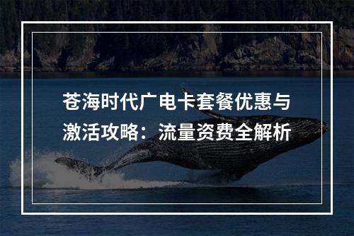 苍海时代广电卡套餐优惠与激活攻略：流量资费全解析