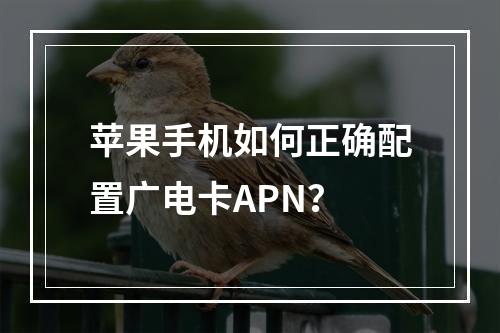 苹果手机如何正确配置广电卡APN？