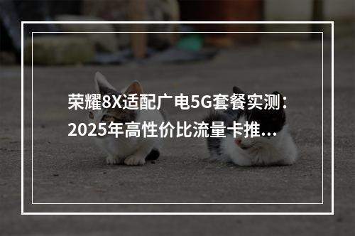 荣耀8X适配广电5G套餐实测：2025年高性价比流量卡推荐