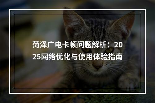 菏泽广电卡顿问题解析：2025网络优化与使用体验指南