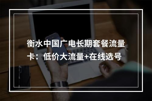 衡水中国广电长期套餐流量卡：低价大流量+在线选号