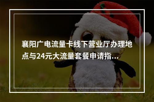 襄阳广电流量卡线下营业厅办理地点与24元大流量套餐申请指南