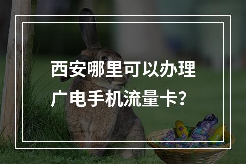 西安哪里可以办理广电手机流量卡？