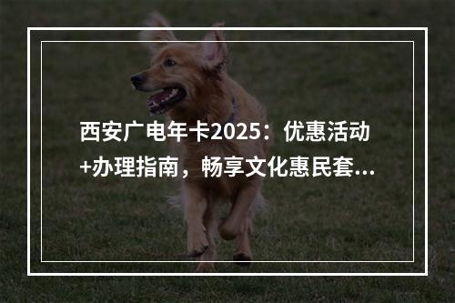西安广电年卡2025：优惠活动+办理指南，畅享文化惠民套餐详情