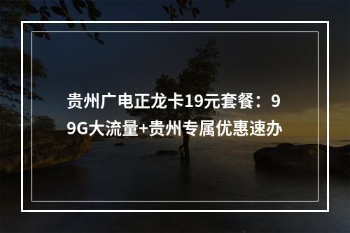 贵州广电正龙卡19元套餐：99G大流量+贵州专属优惠速办