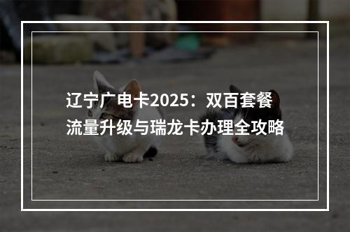 辽宁广电卡2025：双百套餐流量升级与瑞龙卡办理全攻略