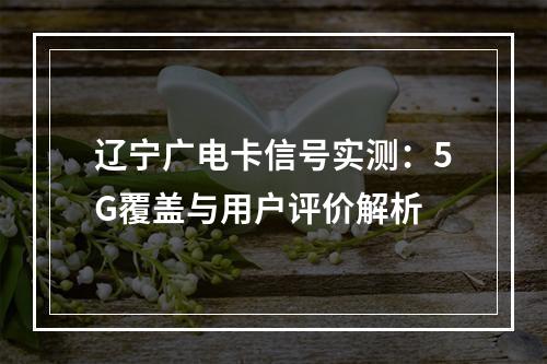 辽宁广电卡信号实测：5G覆盖与用户评价解析