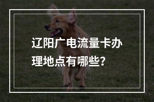 辽阳广电流量卡办理地点有哪些？