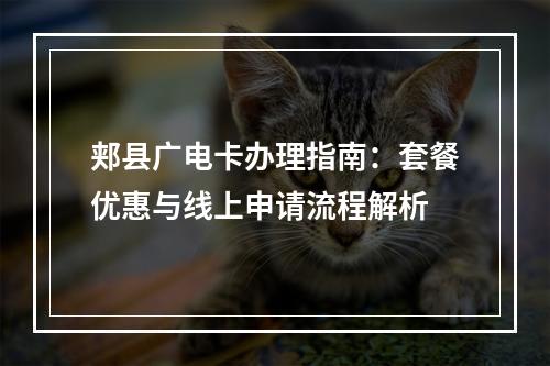 郏县广电卡办理指南：套餐优惠与线上申请流程解析
