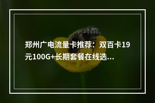 郑州广电流量卡推荐：双百卡19元100G+长期套餐在线选号