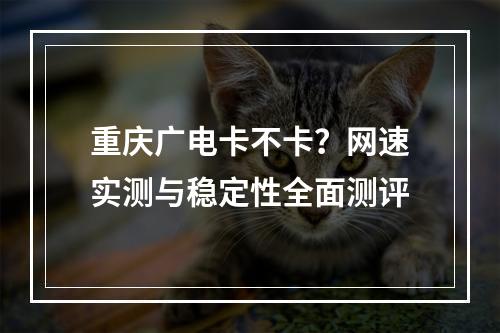 重庆广电卡不卡？网速实测与稳定性全面测评