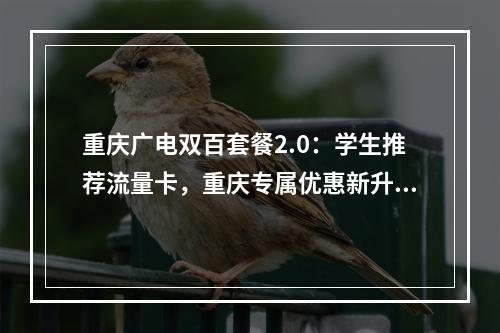 重庆广电双百套餐2.0：学生推荐流量卡，重庆专属优惠新升级