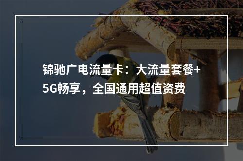锦驰广电流量卡：大流量套餐+5G畅享，全国通用超值资费