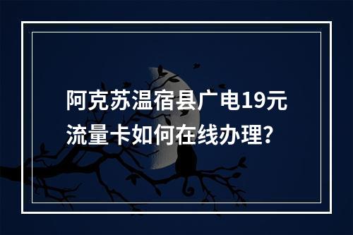 阿克苏温宿县广电19元流量卡如何在线办理？