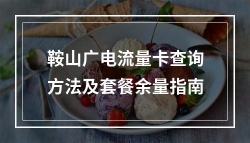 鞍山广电流量卡查询方法及套餐余量指南