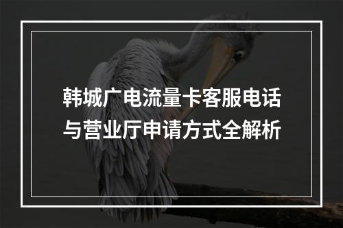 韩城广电流量卡客服电话与营业厅申请方式全解析