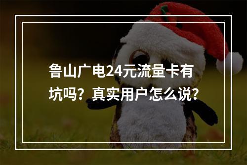 鲁山广电24元流量卡有坑吗？真实用户怎么说？