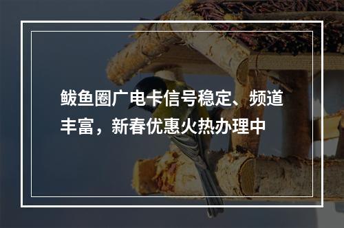 鲅鱼圈广电卡信号稳定、频道丰富，新春优惠火热办理中