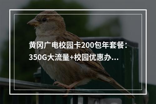 黄冈广电校园卡200包年套餐：350G大流量+校园优惠办理