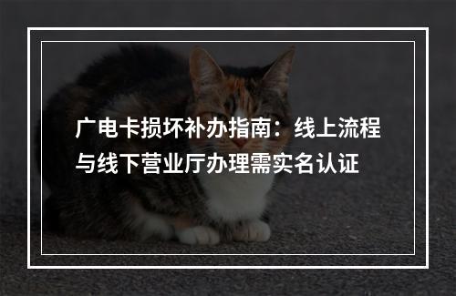 广电卡损坏补办指南：线上流程与线下营业厅办理需实名认证