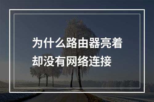 为什么路由器亮着却没有网络连接