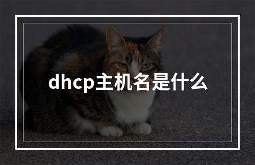 dhcp主机名是什么