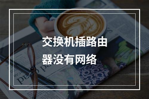 交换机插路由器没有网络