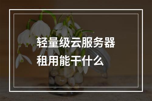 轻量级云服务器租用能干什么