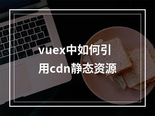 vuex中如何引用cdn静态资源