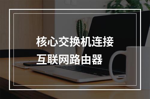 核心交换机连接互联网路由器