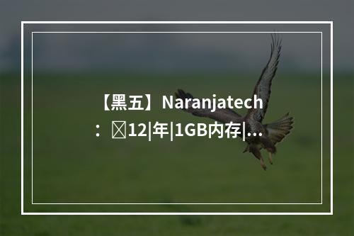 【黑五】Naranjatech:12|年|1GB内存|20GB SSD空间|1TB流量|1Gbps端口|KVM|荷兰(黑5是啥意思)