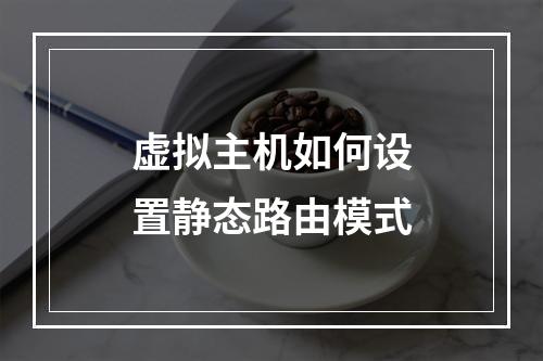 虚拟主机如何设置静态路由模式