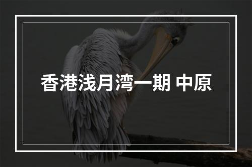香港浅月湾一期 中原
