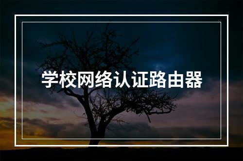 学校网络认证路由器