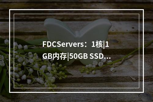 FDCServers:1核|1GB内存|50GB SSD硬盘|不限流量|100Mbps-10Gbps带宽
